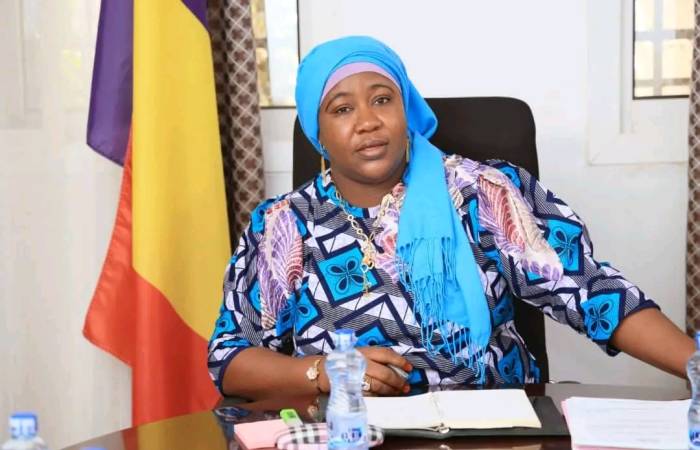Tchad: la HAMA adopte son plan stratégique triennal 2026-2028