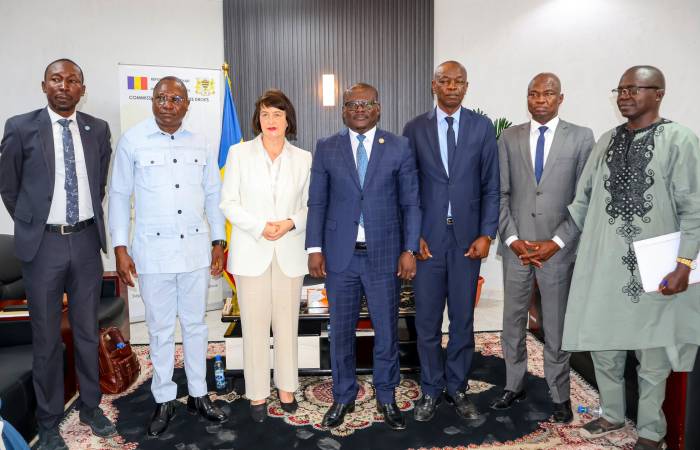 Droits civils et politiques : les Nations unies évaluent le Tchad