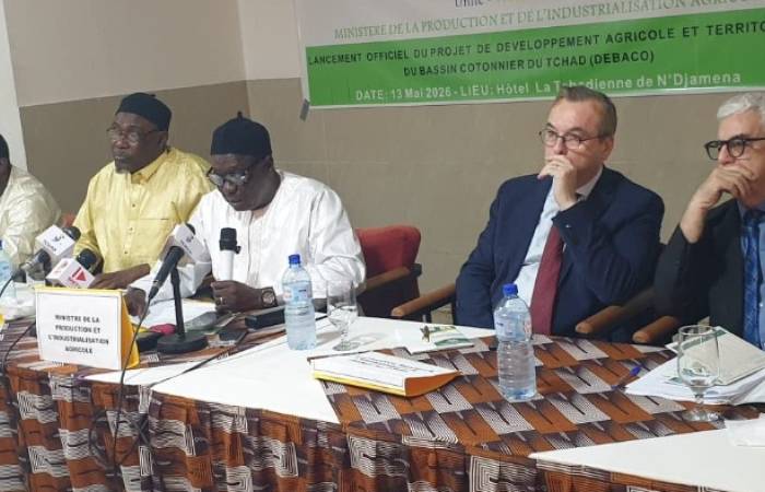 Coton : le Tchad mise sur un appui français de 22,5 millions USD pour relancer sa filière