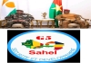 Le Burkina et le Niger quittent la force antidjihadiste G5 Sahel