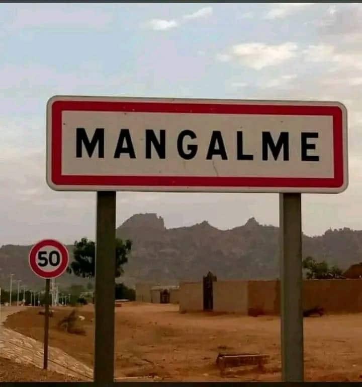 11CA7CDC F4AD 434C 995A 9344A79A74D6