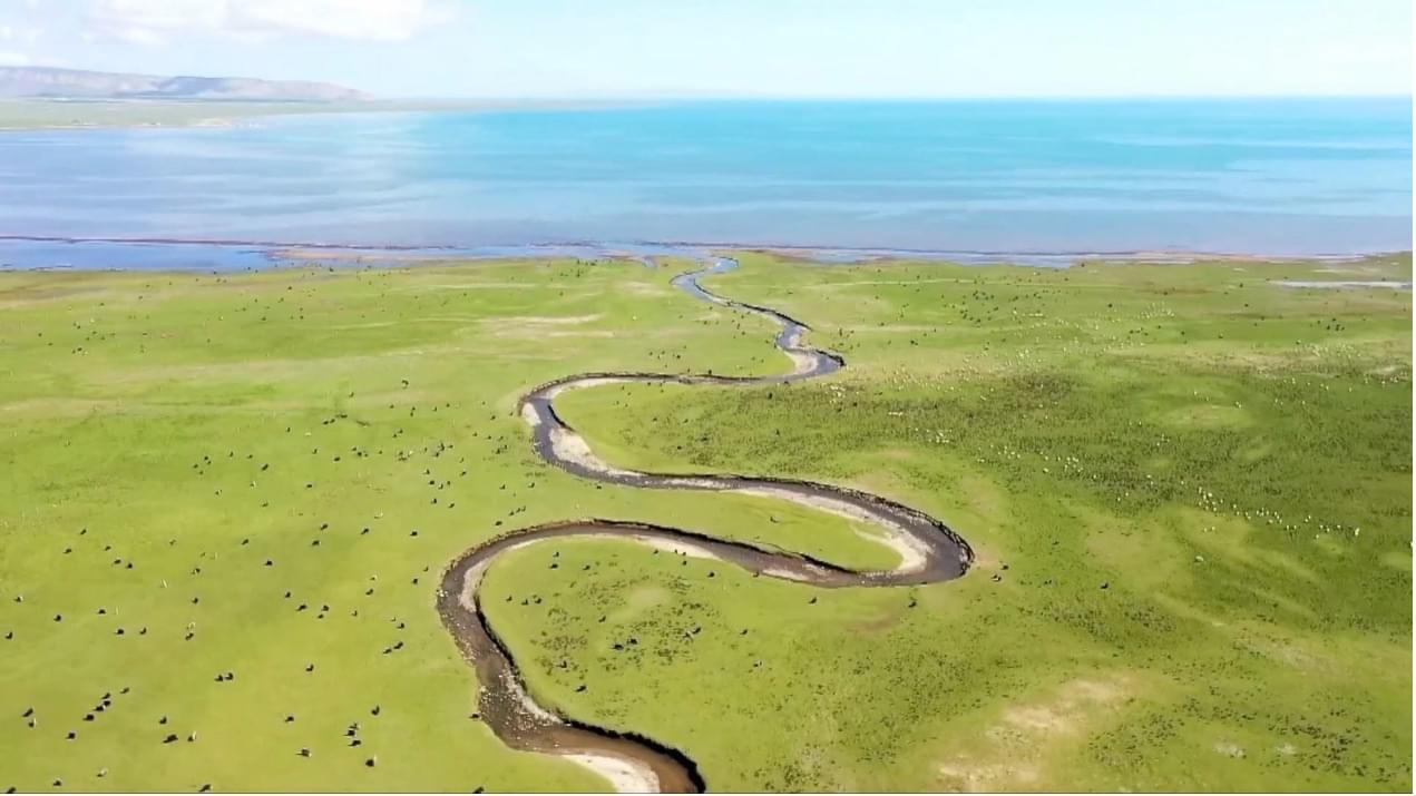 20F30D03 321B 47A3 8096 90AC62E7FEED