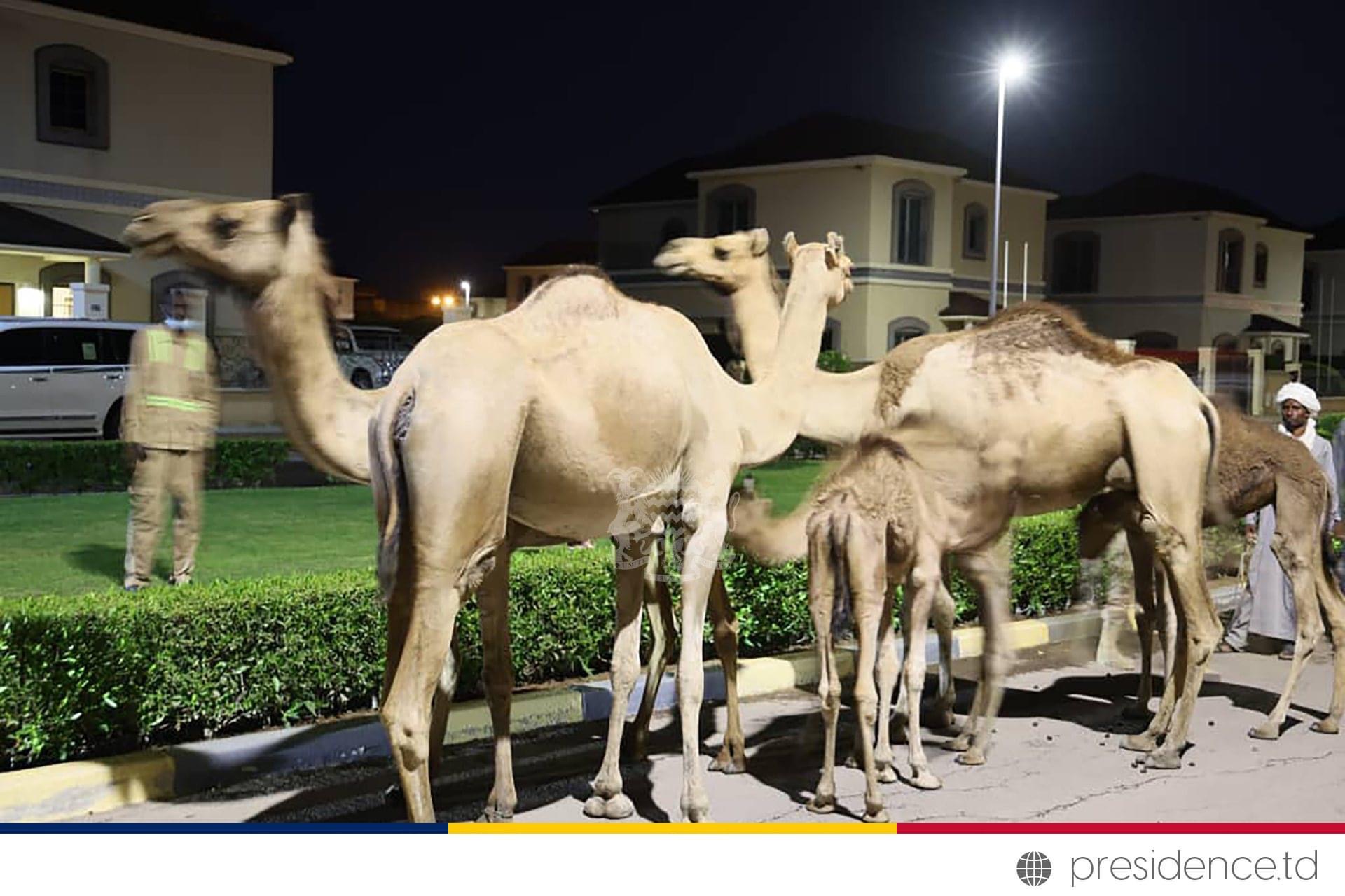 23B3F48E FCF9 4F59 952A 456F79783865