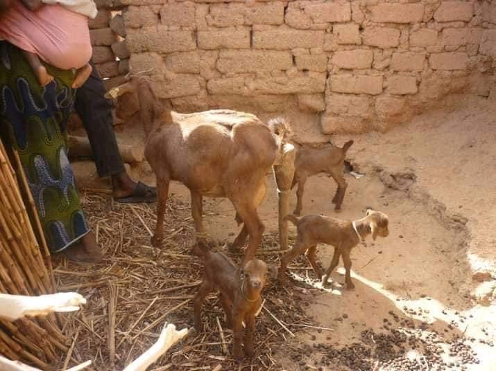 345D8E03 99CA 4D92 8C8B B0768A6BB8C7