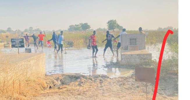 44BE3231 34B5 46CE 8BB4 279B9D8ED115