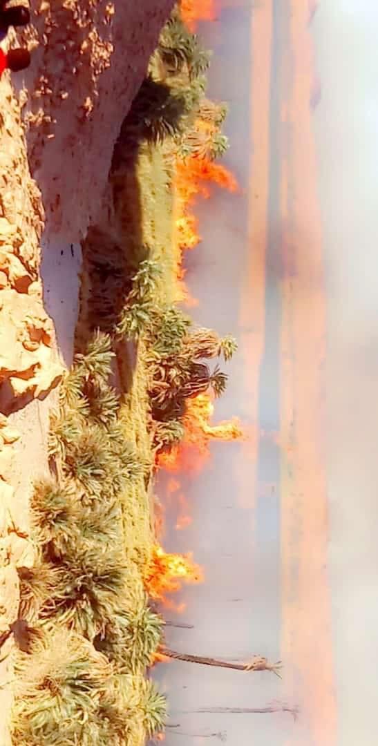 651E311D 5D82 4ED7 8F72 7C7A39FE7CBF