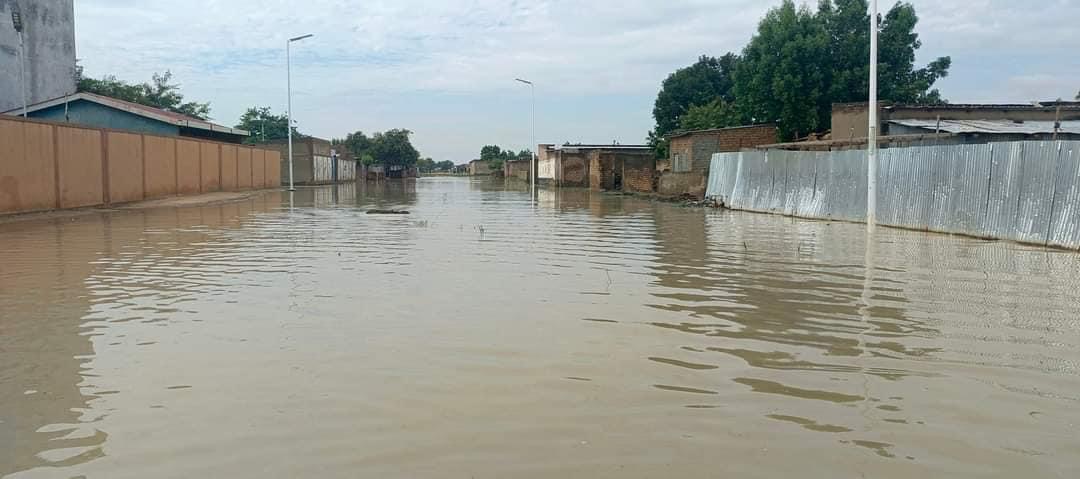 6757DDB5 05A0 4D74 9E8E 1902C1DC45CE