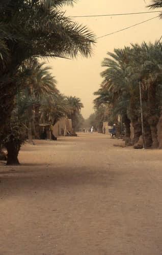 6D408D60 DE99 45C1 94B8 3DFB896267EE