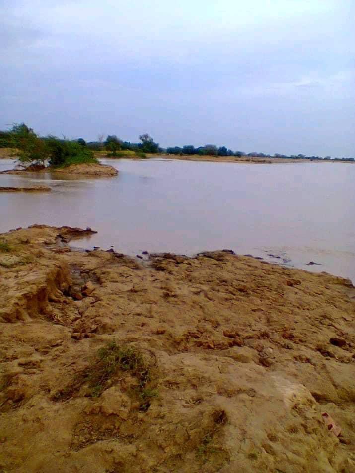 763932EA 3C2F 42DF 8C41 97AC6BB58068