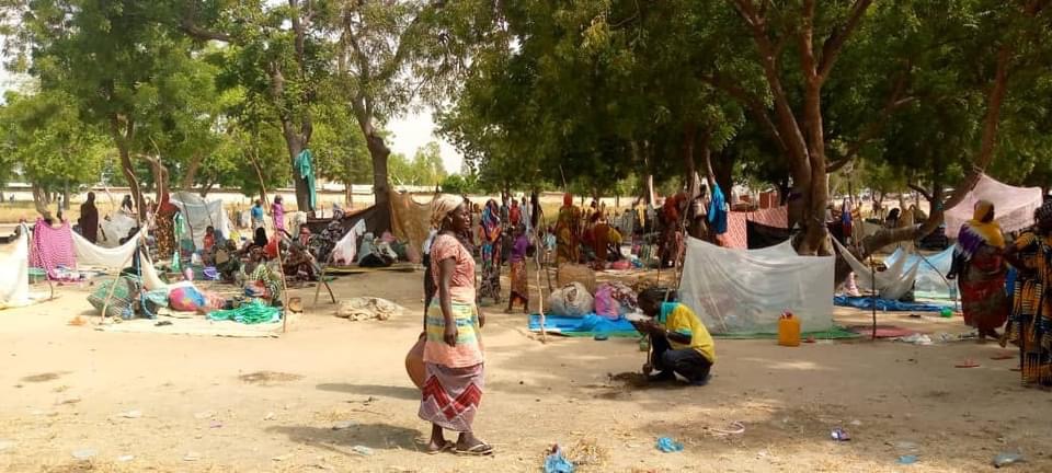 7ADEE6F1 43F0 474D 9CF9 B916F0C9C820