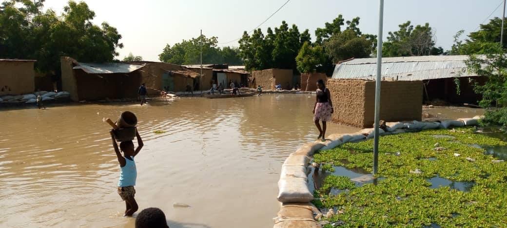 9A136ABA 538D 49A2 88B2 EE3CB346AC4F