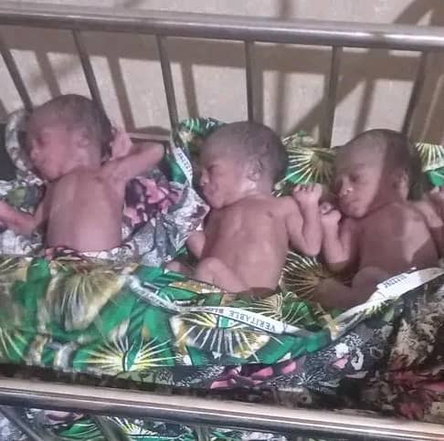 A2BA00C4 B2E2 4832 AC06 B6BE5F1F3A11