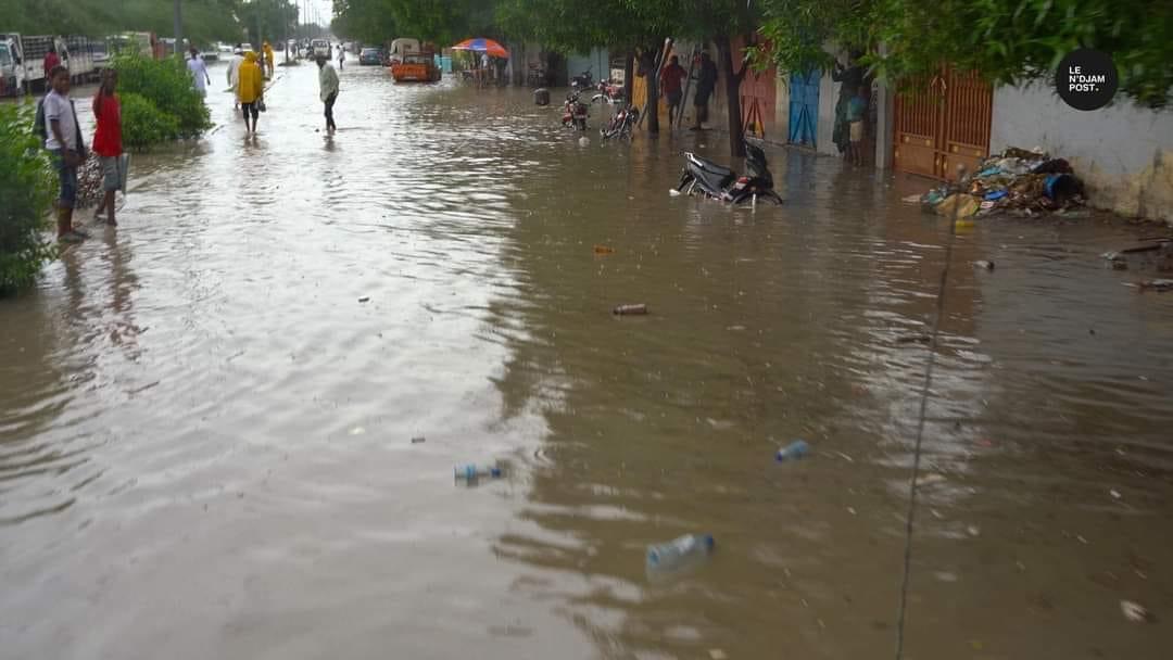 D9B0A348 F8B6 4B7C 9A36 5E5A76EB7F8B