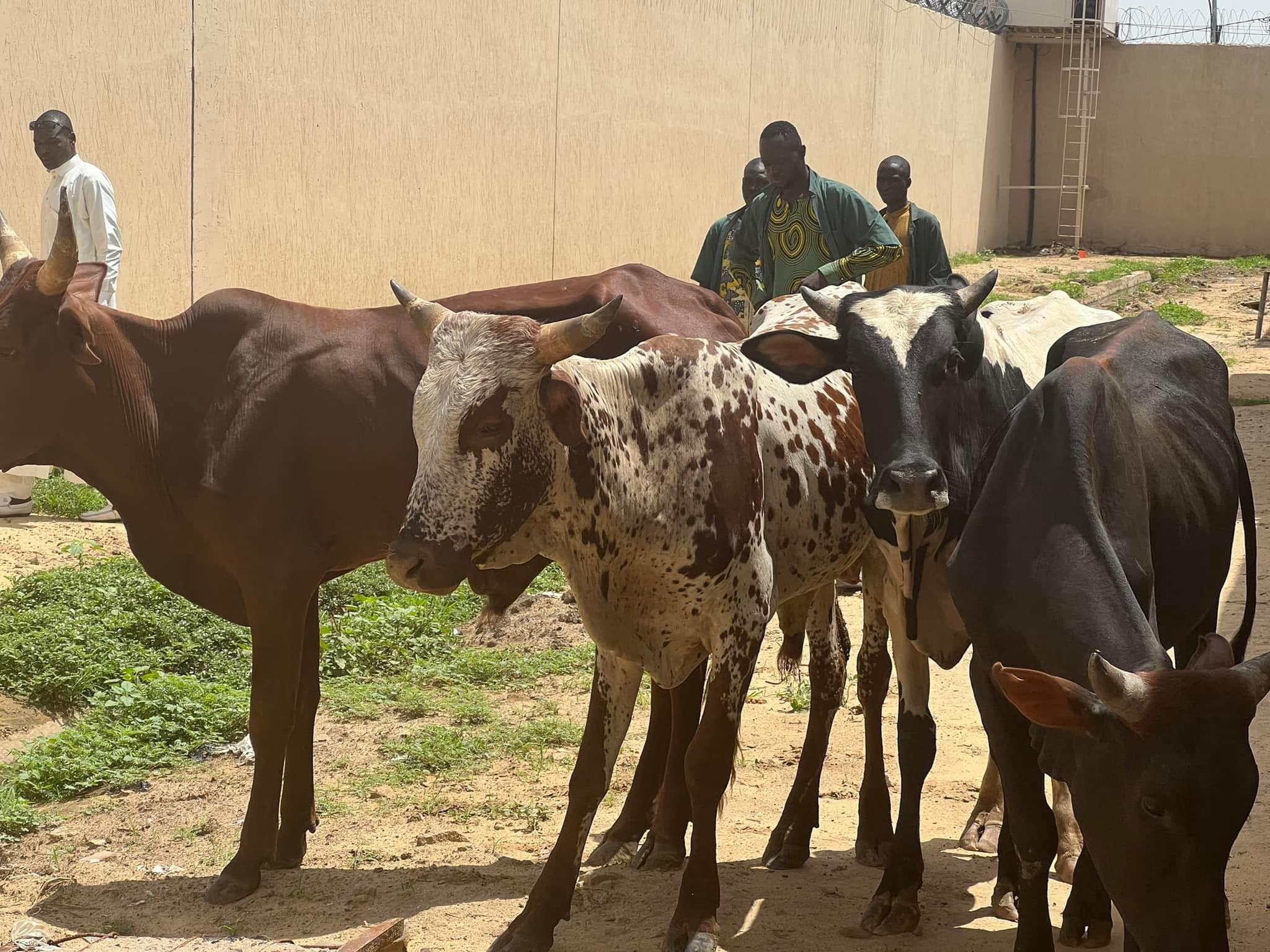 E30F15B7 9CBC 4E17 A426 9E3967522E56