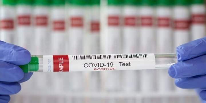 FB IMG 1646663565777