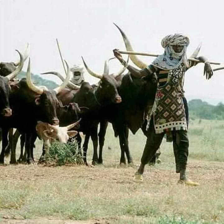 FB IMG 1652623522120