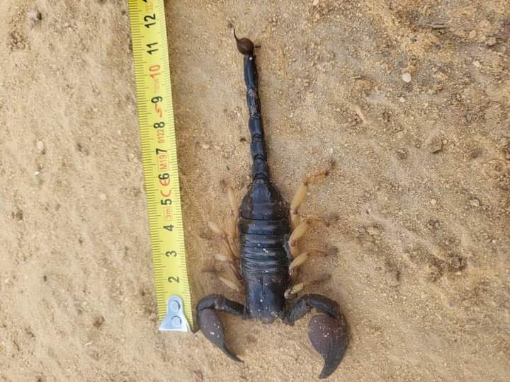 FB IMG 1696054930927