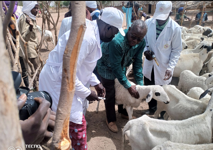 Screenshot 20230328 174828