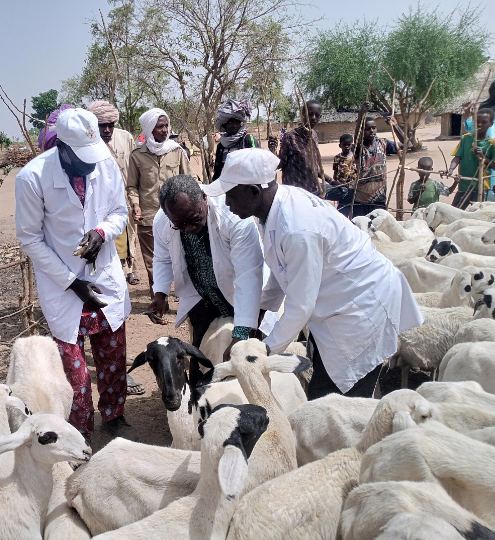 Screenshot 20230328 181834