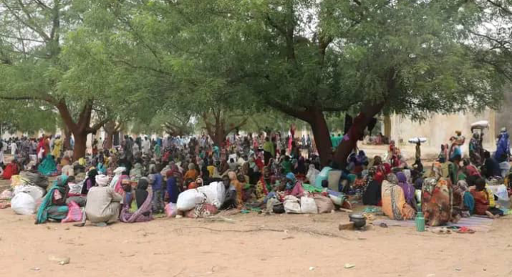 Screenshot 20230627 171554