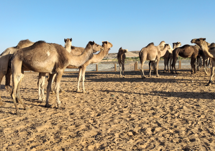 Screenshot 20230708 120801