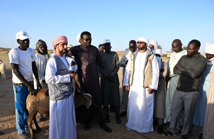 Screenshot 20230822 232022 Gallery