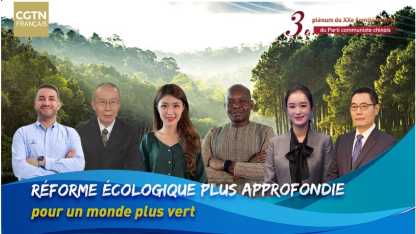 Screenshot 20240724 223051 Word