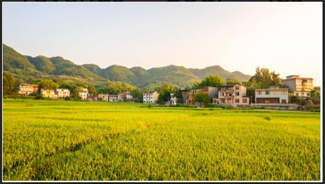 Screenshot 20250225 205729 Word