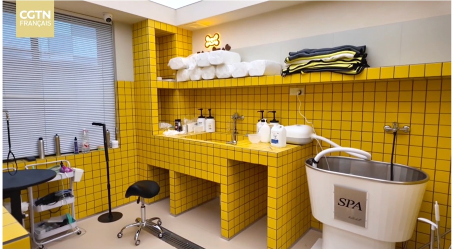 Screenshot 20260214 194830 Word