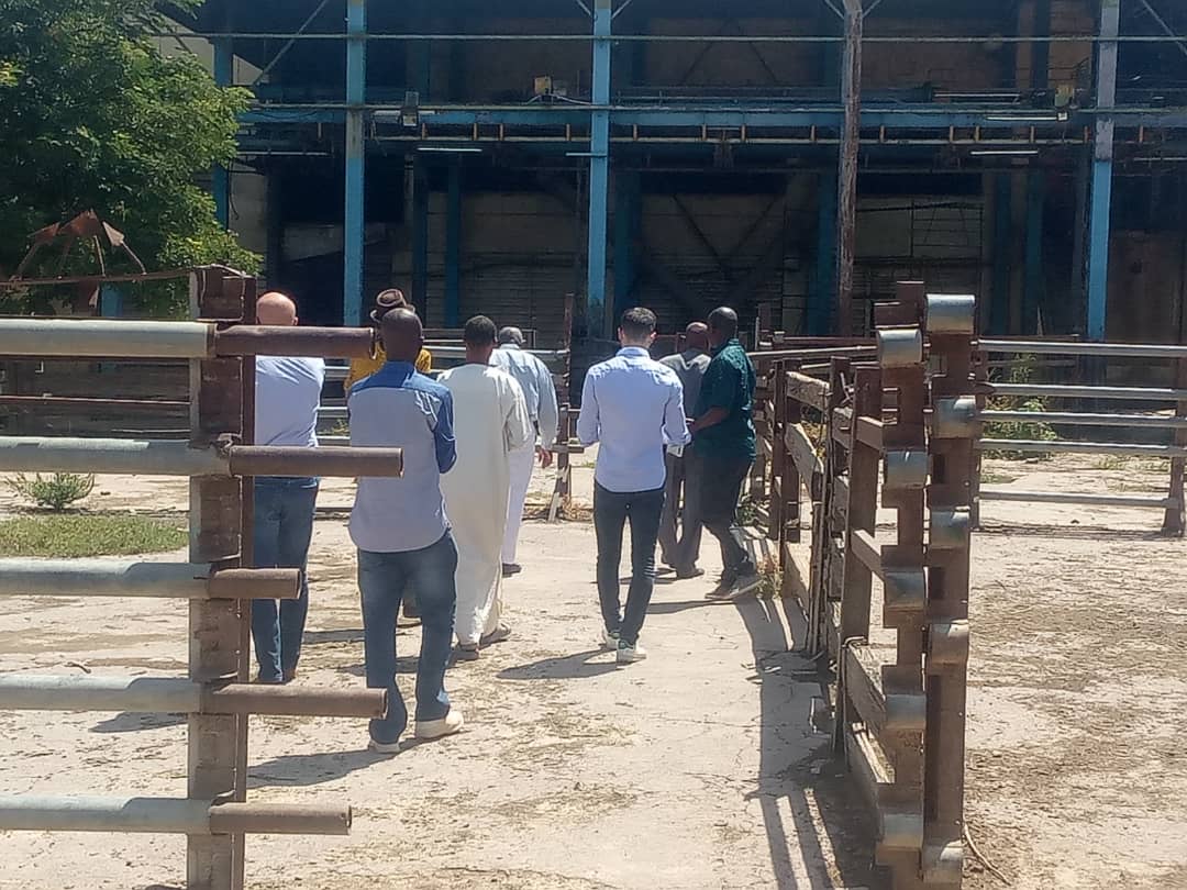 f5b44520 715f 41fb 9ece 3a95c3906360